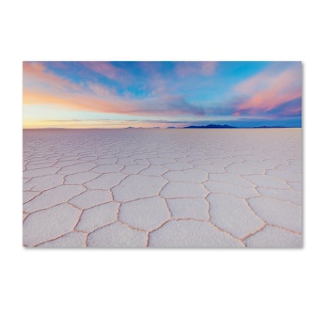 Trademark Fine Art Anna Gibiskys 'Tenderness' Canvas Art, 12x19 1X02460-C1219GG